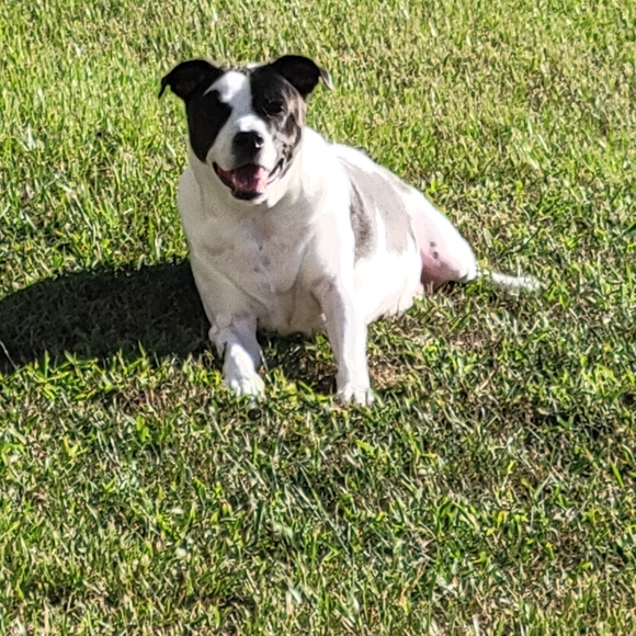 N/A - Picture 1 of 1